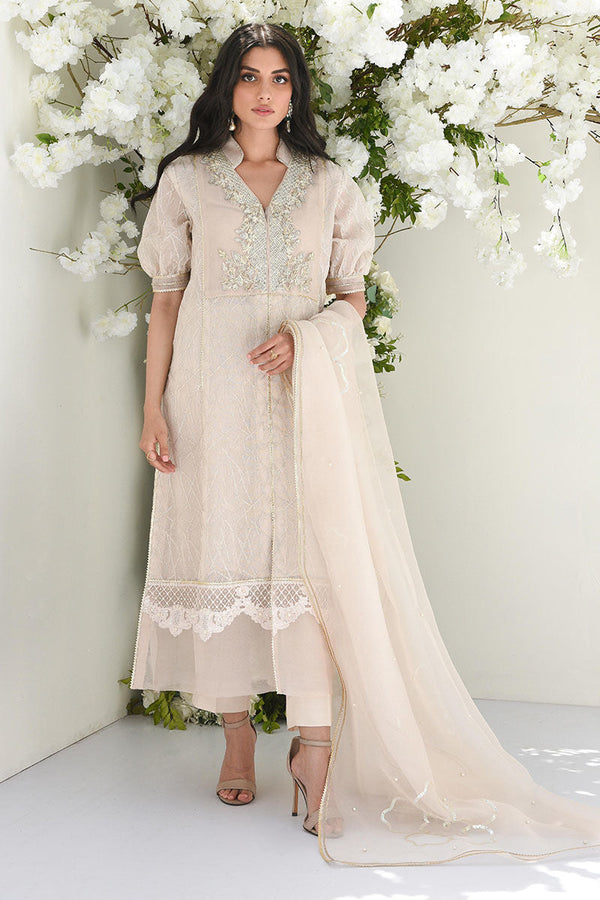 Dusty Ivory - Dupatta Organza