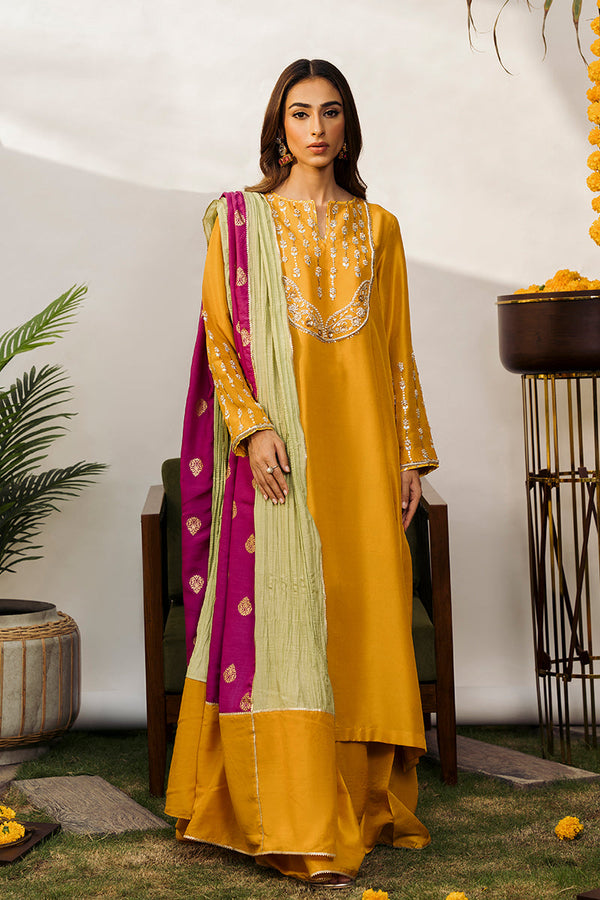 Areeisha - Dhaka