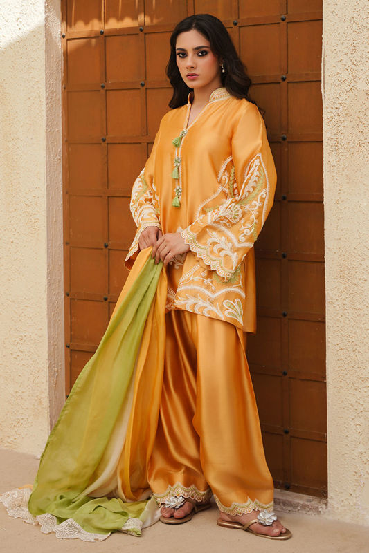 Picture of Raiya ( Shirt and Dupatta)